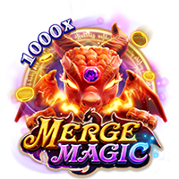 MERGE MAGIC