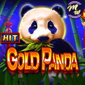 Gold Panda