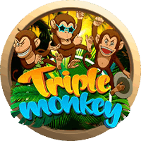 Triple Monkey